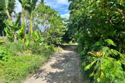 WhatsApp Image 2025-12-16 at 1.03.13 PM (1)