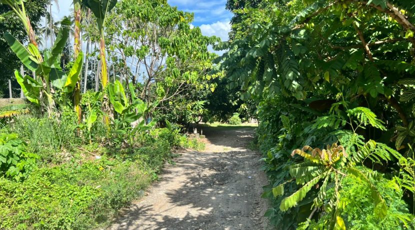 WhatsApp Image 2025-12-16 at 1.03.13 PM (1)