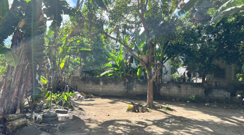 WhatsApp Image 2025-12-16 at 1.03.13 PM (2)