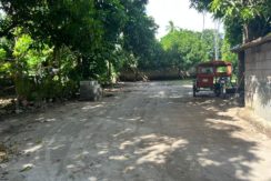 WhatsApp Image 2025-12-16 at 1.03.15 PM