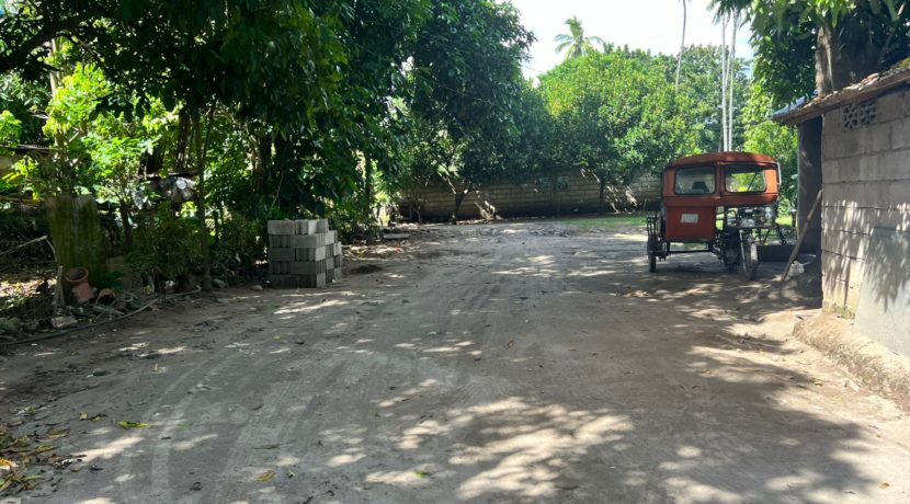 WhatsApp Image 2025-12-16 at 1.03.15 PM