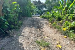 WhatsApp Image 2025-12-16 at 1.03.16 PM (1)