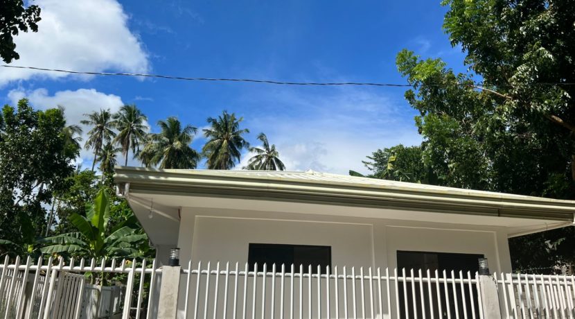 WhatsApp Image 2025-12-16 at 1.03.17 PM (1)