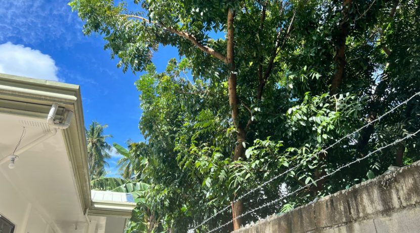 WhatsApp Image 2025-12-16 at 1.03.17 PM