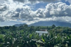 WhatsApp Image 2025-12-16 at 1.21.53 PM (1)