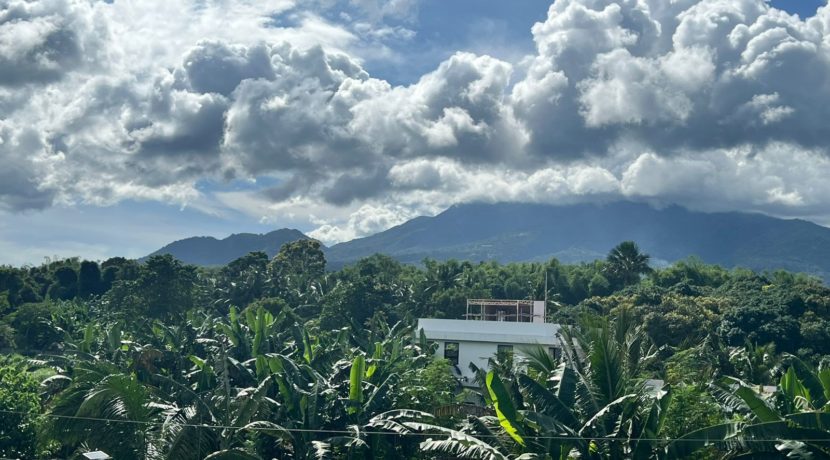 WhatsApp Image 2025-12-16 at 1.21.53 PM (1)