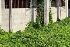 WhatsApp Image 2025-12-16 at 1.32.08 PM