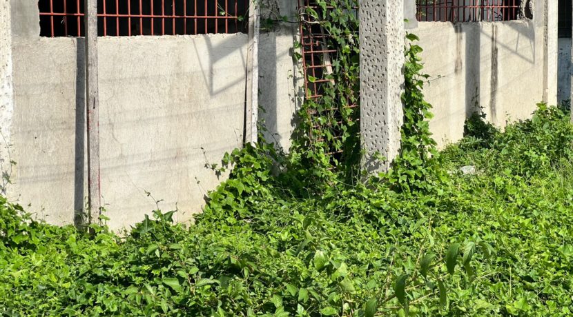 WhatsApp Image 2025-12-16 at 1.32.08 PM