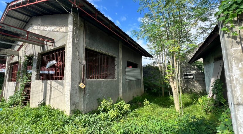 WhatsApp Image 2025-12-16 at 1.32.14 PM