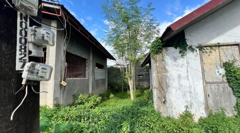 WhatsApp Image 2025-12-16 at 1.32.15 PM (1)