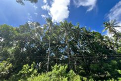 WhatsApp Image 2025-12-16 at 12.09.46 PM (2)