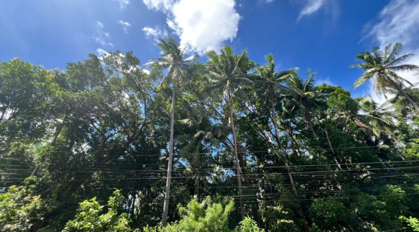 WhatsApp Image 2025-12-16 at 12.09.46 PM (2)