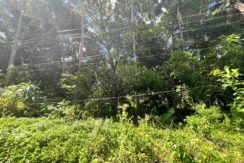 WhatsApp Image 2025-12-16 at 12.09.46 PM