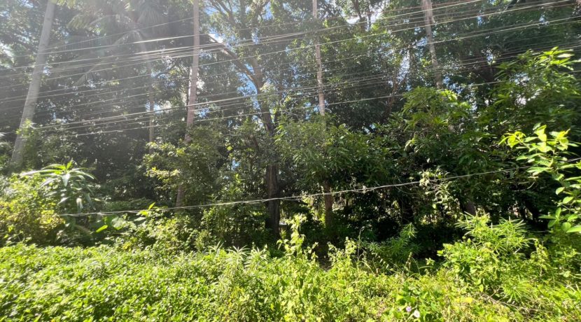 WhatsApp Image 2025-12-16 at 12.09.46 PM