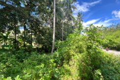 WhatsApp Image 2025-12-16 at 12.09.47 PM (1)