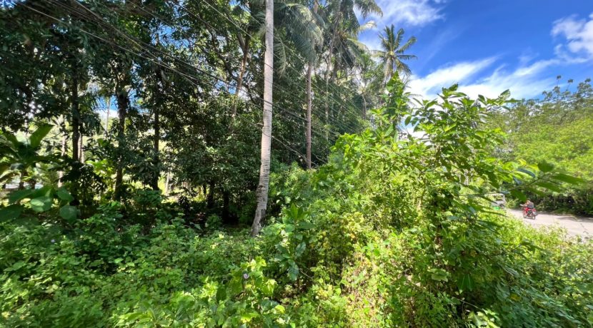 WhatsApp Image 2025-12-16 at 12.09.47 PM (1)