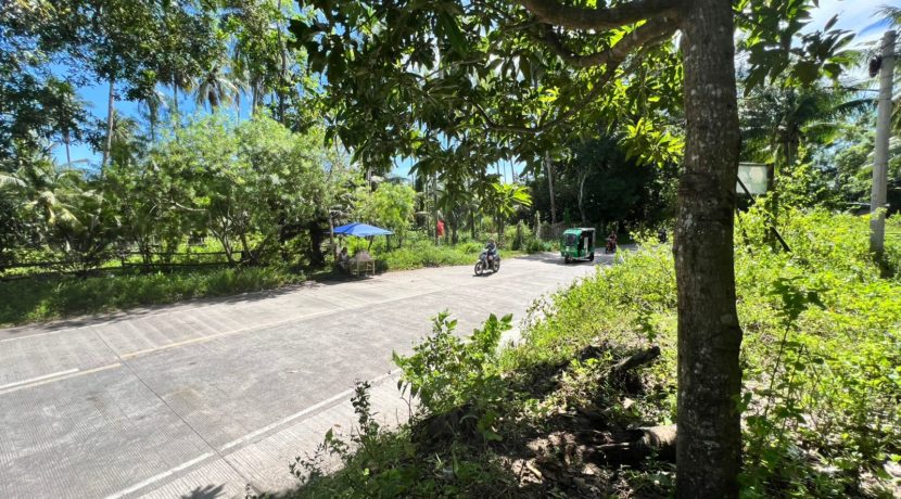 WhatsApp Image 2025-12-16 at 12.09.47 PM (2)