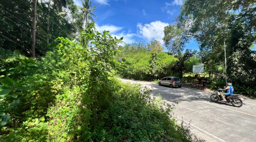 WhatsApp Image 2025-12-16 at 12.09.47 PM (3)