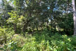 WhatsApp Image 2025-12-16 at 12.09.48 PM (1)