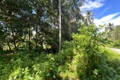 WhatsApp Image 2025-12-16 at 12.09.48 PM (2)