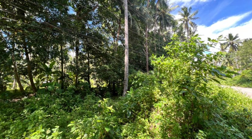 WhatsApp Image 2025-12-16 at 12.09.48 PM (2)