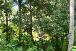 WhatsApp Image 2025-12-16 at 12.09.48 PM