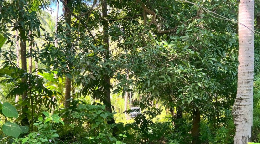 WhatsApp Image 2025-12-16 at 12.09.48 PM