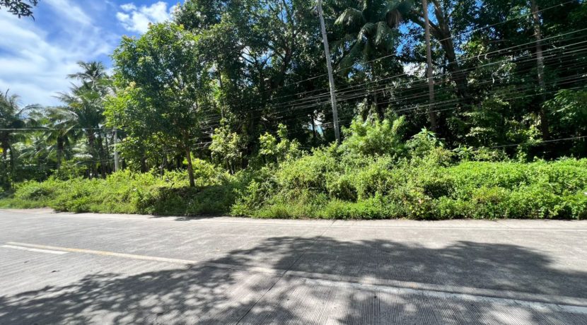 WhatsApp Image 2025-12-16 at 12.09.49 PM (2)