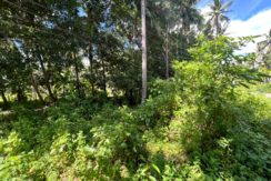 WhatsApp Image 2025-12-16 at 12.09.49 PM