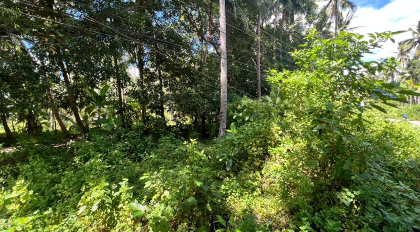 WhatsApp Image 2025-12-16 at 12.09.49 PM