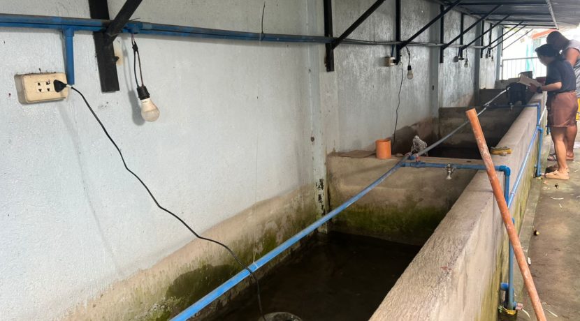 WhatsApp Image 2026-01-06 at 10.38.16 AM (1)