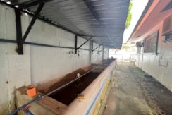 WhatsApp Image 2026-01-06 at 10.38.16 AM