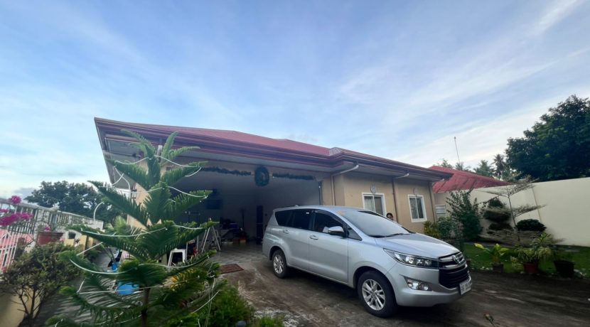 WhatsApp Image 2026-01-06 at 4.43.35 PM (1)