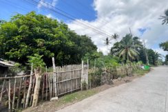 WhatsApp Image 2026-01-27 at 4.07.24 PM