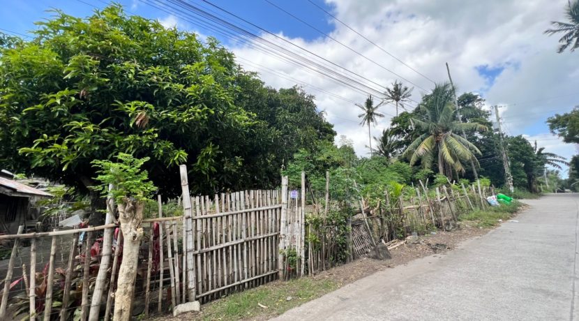 WhatsApp Image 2026-01-27 at 4.07.24 PM