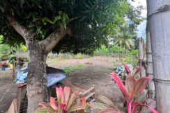 WhatsApp Image 2026-01-27 at 4.07.25 PM