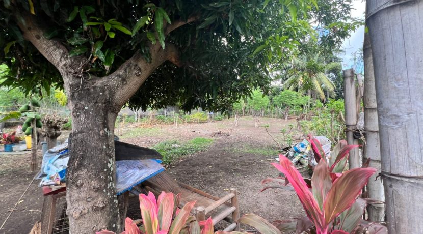 WhatsApp Image 2026-01-27 at 4.07.25 PM