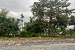 WhatsApp Image 2026-01-19 at 2.23.29 PM