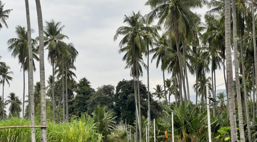 WhatsApp Image 2026-01-19 at 2.23.34 PM