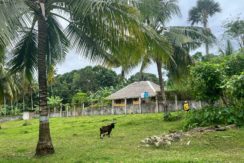 WhatsApp Image 2026-02-03 at 4.24.45 PM (1)