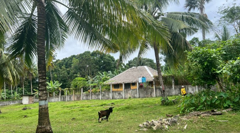 WhatsApp Image 2026-02-03 at 4.24.45 PM (1)