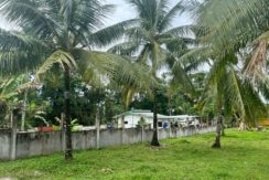 WhatsApp Image 2026-02-03 at 4.24.45 PM (2)