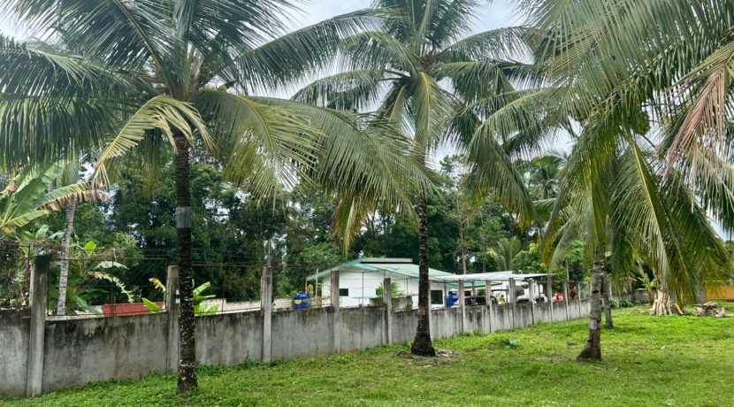 WhatsApp Image 2026-02-03 at 4.24.45 PM (2)