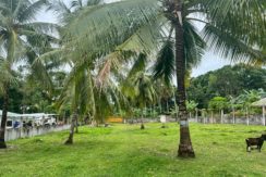 WhatsApp Image 2026-02-03 at 4.24.45 PM