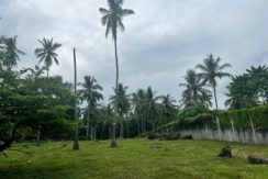 WhatsApp Image 2026-02-03 at 4.24.45 PM (3)