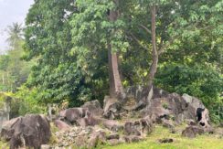 WhatsApp Image 2026-02-03 at 4.24.46 PM (1)