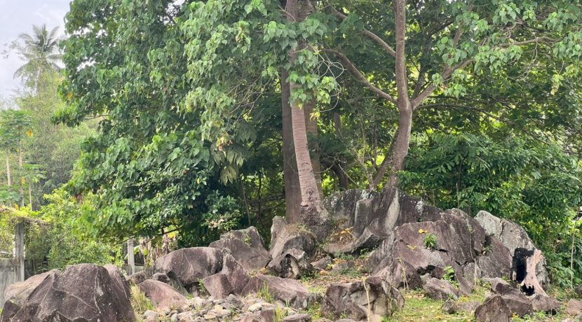 WhatsApp Image 2026-02-03 at 4.24.46 PM (1)