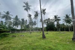 WhatsApp Image 2026-02-03 at 4.24.46 PM (2)