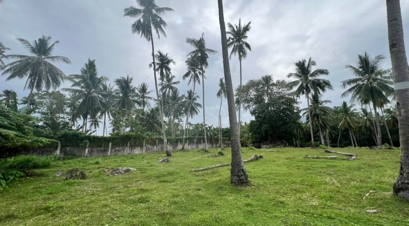 WhatsApp Image 2026-02-03 at 4.24.46 PM (2)