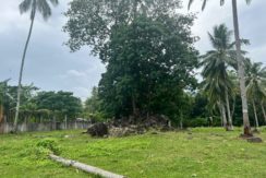 WhatsApp Image 2026-02-03 at 4.24.46 PM